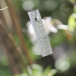 Rhododendron-kosteranum-mollis-azalea-hill-label-01